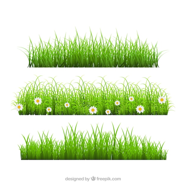 Gratis vector collectie van drie realistische gras grenzen