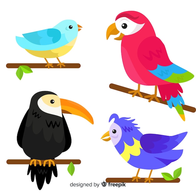 Gratis vector collectie van exotische vogels met een vlak ontwerp