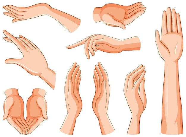 Gratis vector collectie van menselijke handen