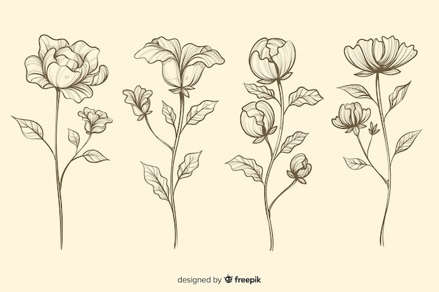 Gratis vector collectie van realistische hand getrokken botanische bloemen