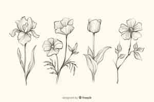 Gratis vector collectie van realistische hand getrokken botanische bloemen