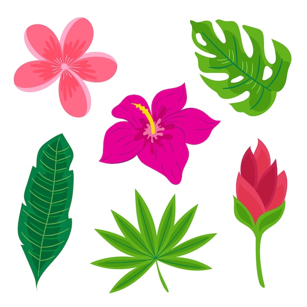 Gratis vector collectie van tropische bloemen en bladeren