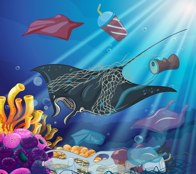 Controle op vervuiling met zeedieren en afval