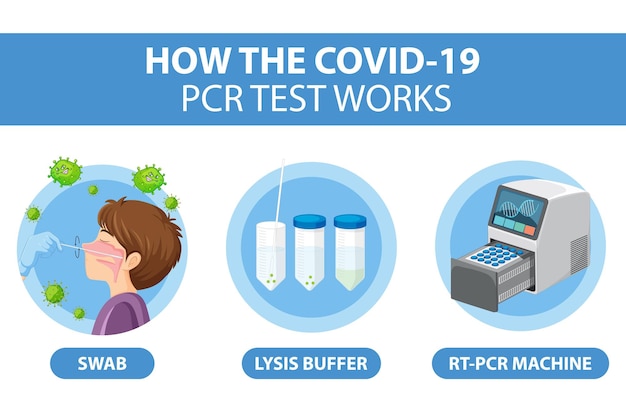 Covid 19-testdiagram met antigeentestkit