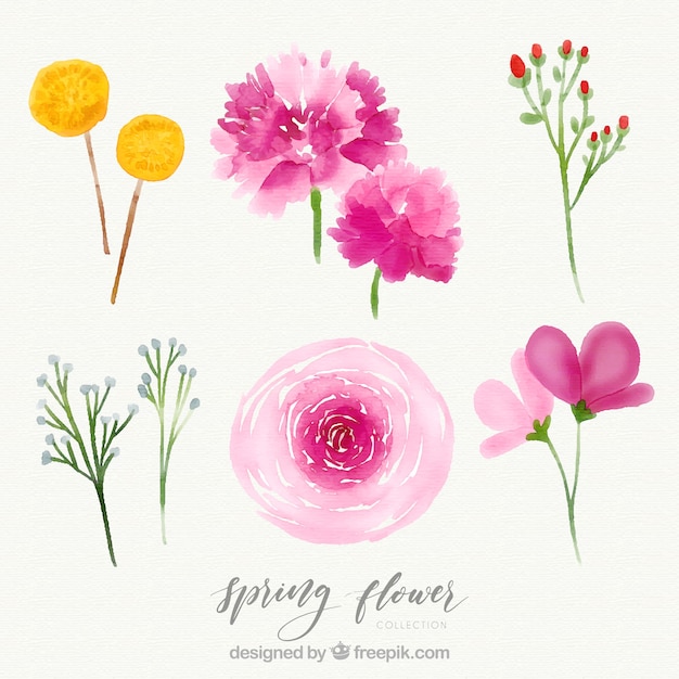 Gratis vector creatieve aquarel lente bloemen set