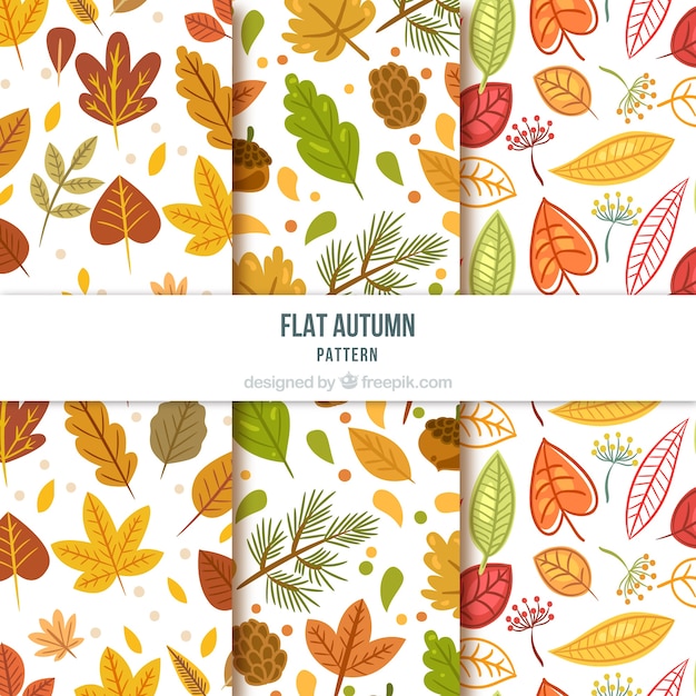 Creatieve herfst patroon collectie