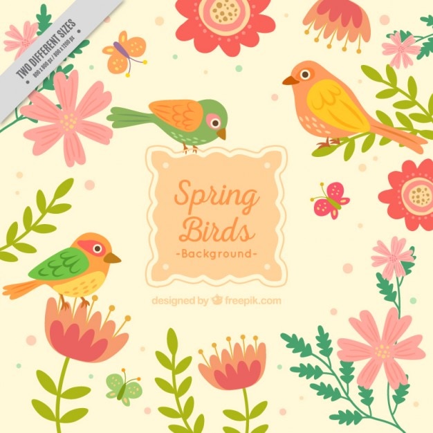 Gratis vector cute voorjaar vogels achtergrond