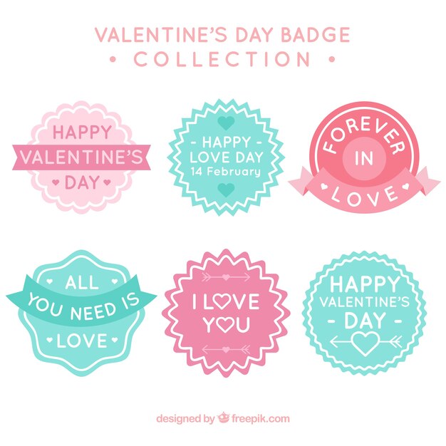 Dag roze en blauw valentijnsdag badges