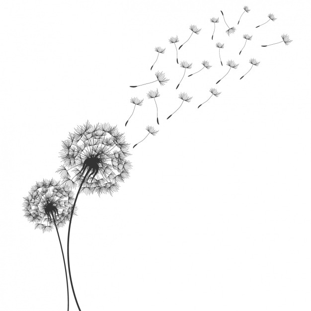 Gratis Vector dandelion achtergrond ontwerp