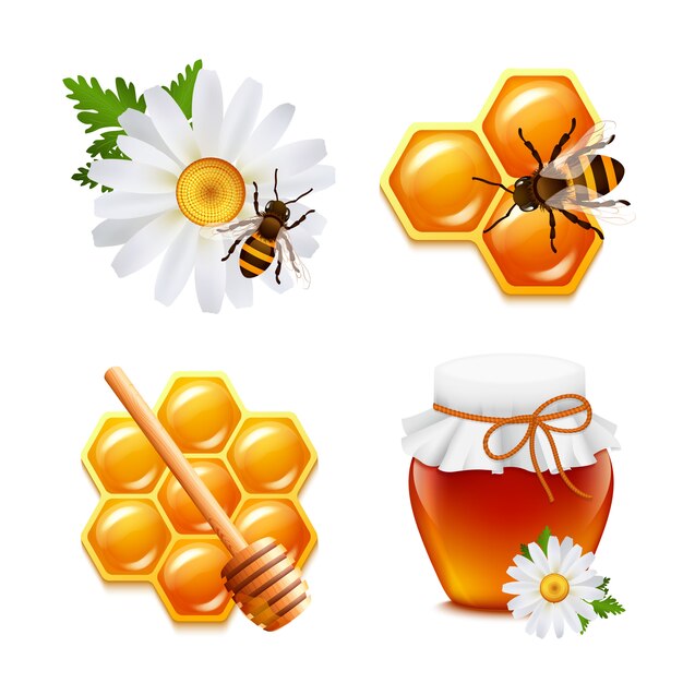 De elementen van het honingsvoedsel met de honingraat geïsoleerde vectorillustratie die van de madeliefjebhommel worden geplaatst