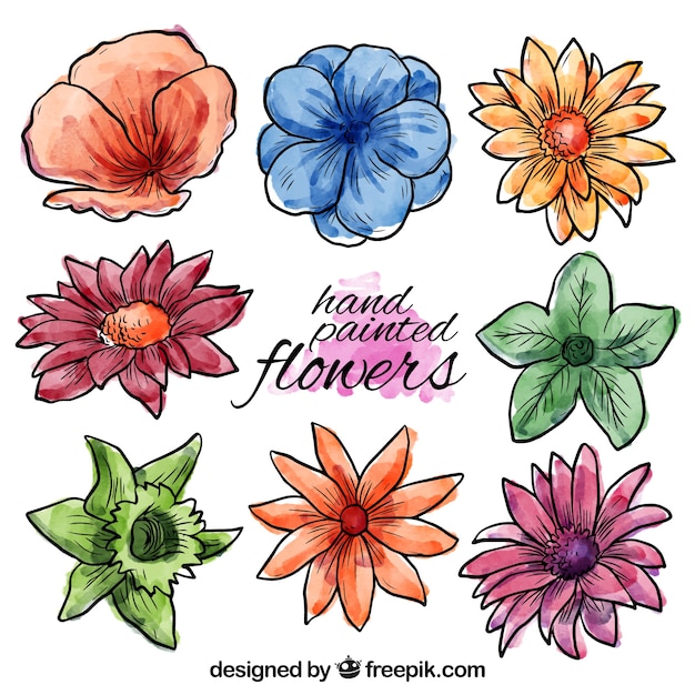 Gratis vector de hand geschilderde lentebloemen