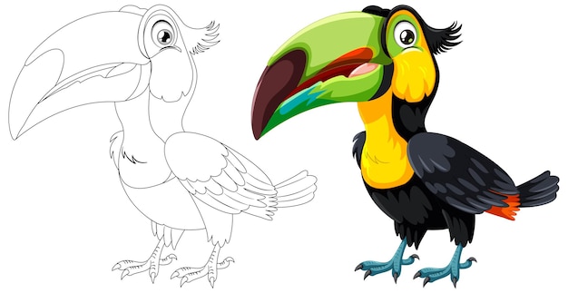 Gratis vector de kleurrijke toucan en zijn lijnkunst