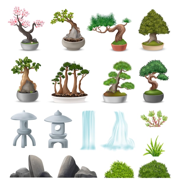 Gratis vector de realistische japanse pictogrammen van de bonsaiboom die met geïsoleerde de elementen vectorillustratie van de natuursteentuin worden geplaatst