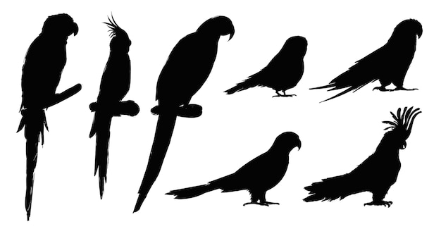 Gratis vector de stijl van de illustratietekening van de inzameling van papegaaivogels
