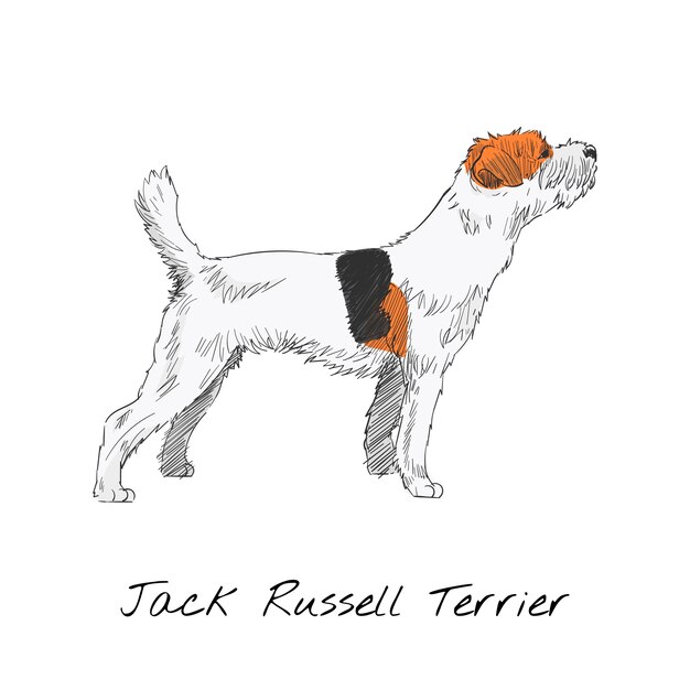 De stijl van de illustratietekening van hond