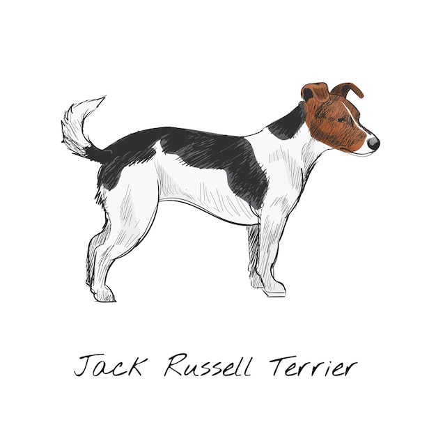 De stijl van de illustratietekening van hond
