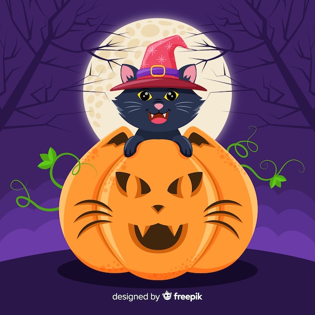 De zwarte kat van halloween in pompoen met volle maan