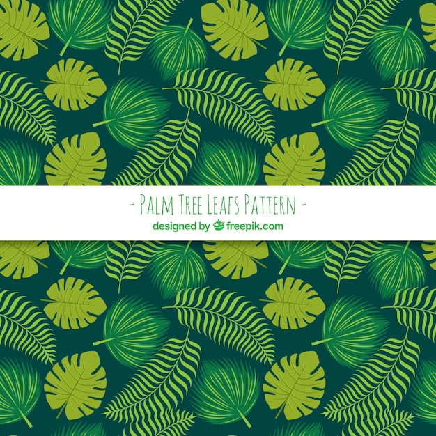 Decoratief patroon van palmbladeren