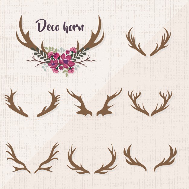 Gratis Vector decoratieve bloemen elementen collectie