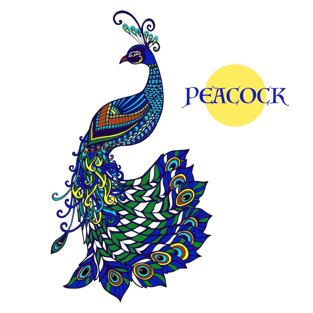 Decoratieve pauw doodle