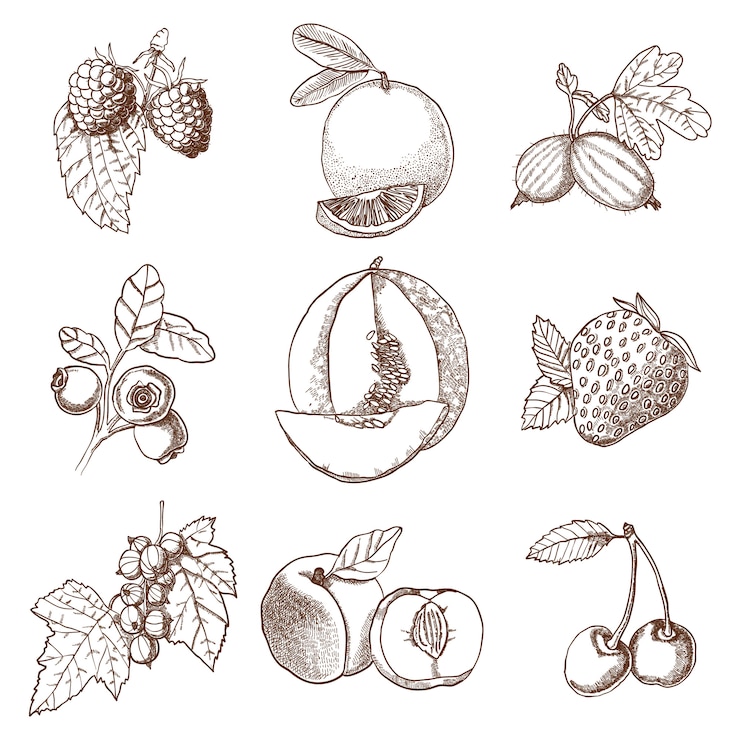 Gratis Vector decoratieve pictogrammen instellen