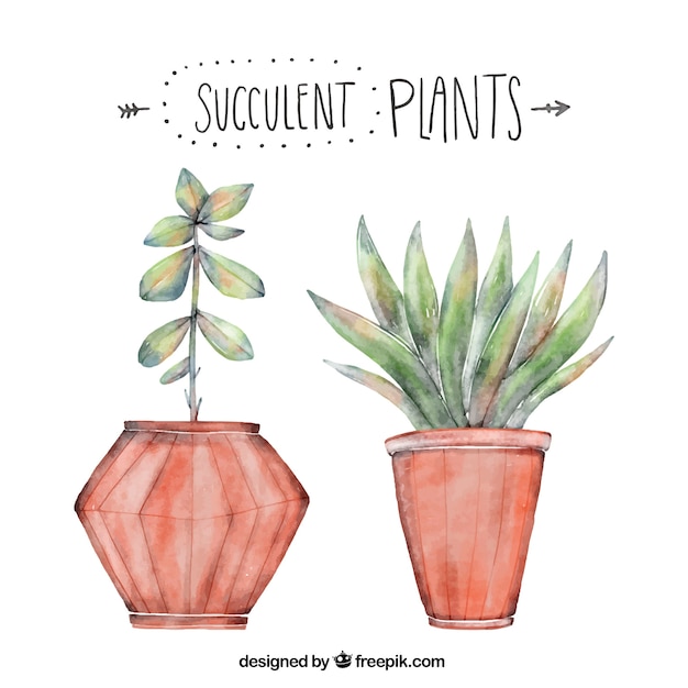 Gratis vector decoratieve planten in aquarel stijl