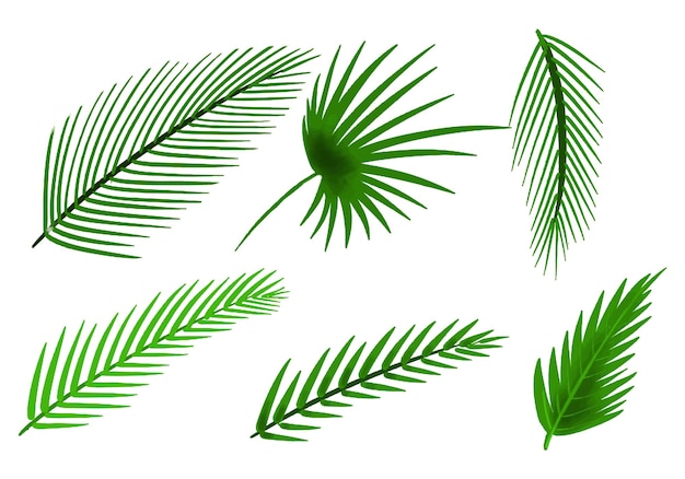 Gratis vector decoratieve tropische planten groen blad decorontwerp