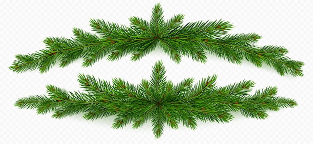 Gratis vector dennenboomtak kerstslinger groen spartakje