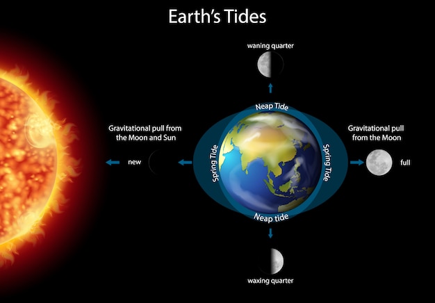 Diagram met aardgetijden met aarde en zon