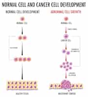 Gratis vector diagram met normale cel en kankercel
