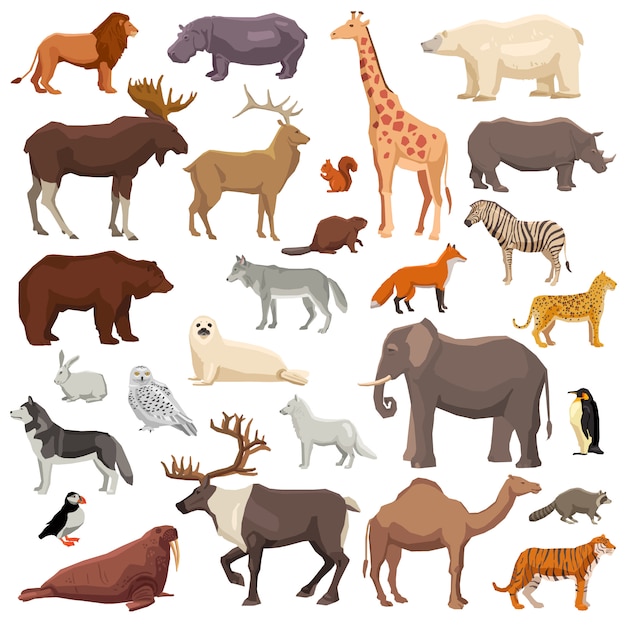 Gratis vector dieren grote reeks