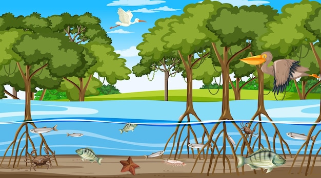 Dieren leven overdag in het mangrovebos