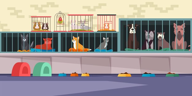Dierenasiel dierenwinkel inerior Adoptiecentrum voor zwerf- en dakloze huisdieren met schattige katten eenzame honden cavia's kleine hamster konijntjes en papegaai in kooien