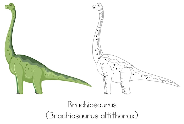 Dinosaurus schetsen van brachiosaurus