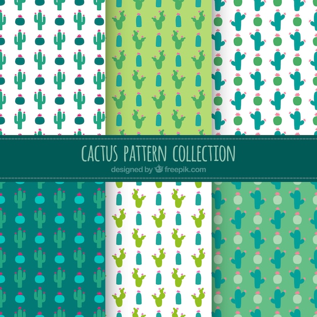 Diverse decoratieve cactus patronen