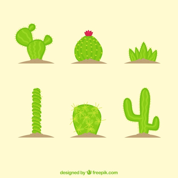 Gratis vector diverse handgetekende cactussen