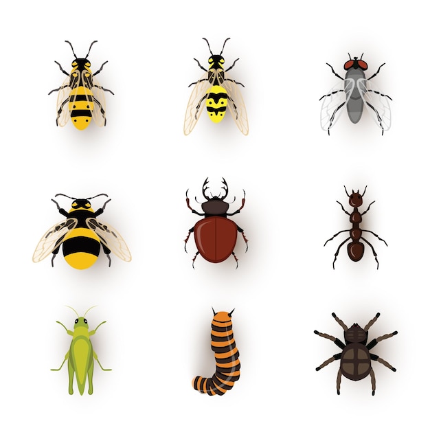 Gratis vector diverse insecten setbee wesp en hommel vliegen hert kever en mier verschillende kleine plagen sprinkhaan rups en spin