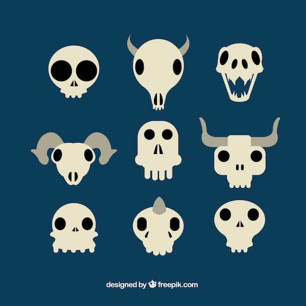 Gratis vector diverse platte schedels