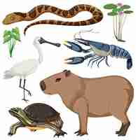 Gratis vector diverse wetland animals-collectie