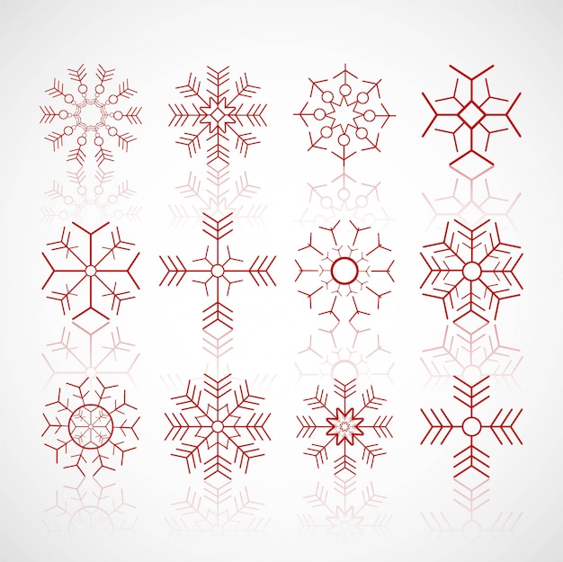 Diverse wintersneeuwvlokken geplaatst ontwerpvector