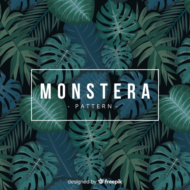 Donkere monstera achtergrond