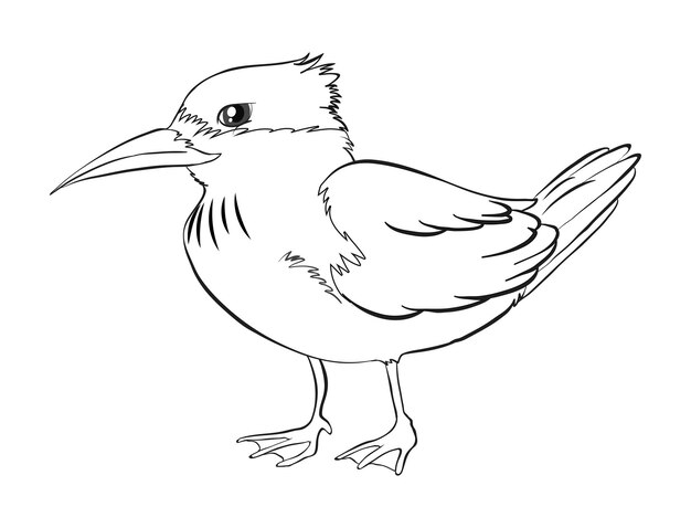 Doodle dier voor vogel