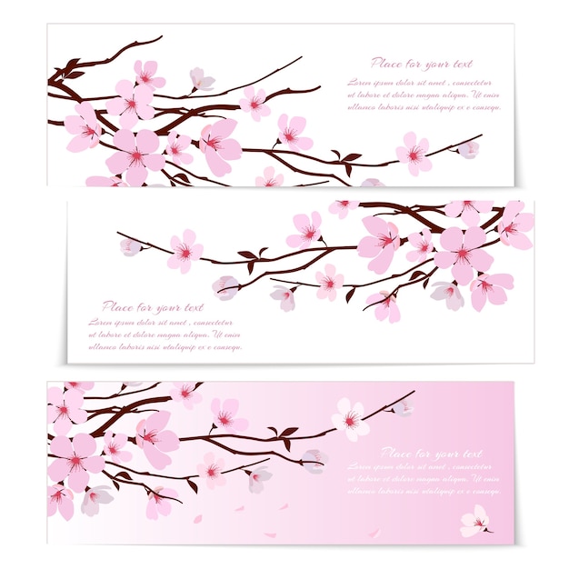Drie banners met verse roze siersaksakura bloemen of kersenbloesem