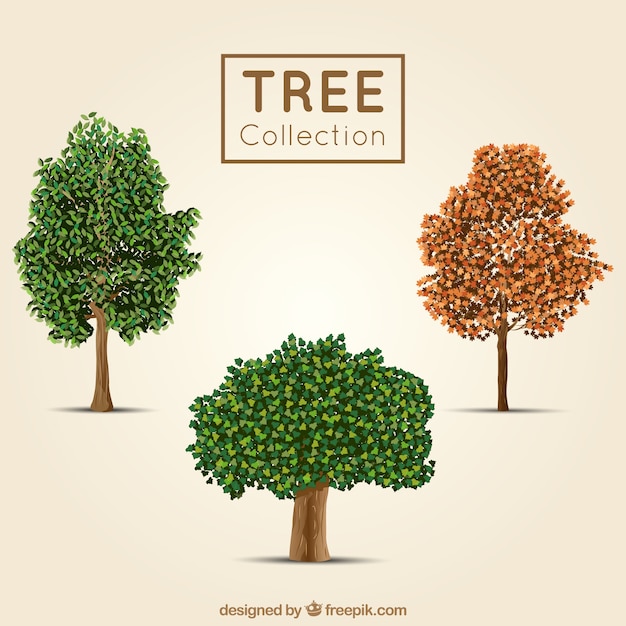 Gratis vector drie bomen in realistische stijl