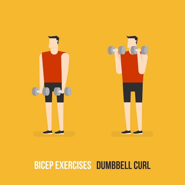 Dumbbell curl demostration