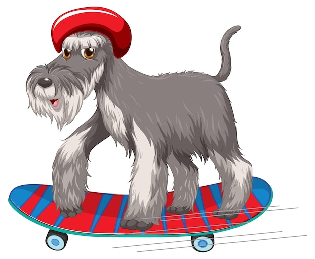 Gratis vector dwergschnauzer-hond draagt helm die op skateboard staat