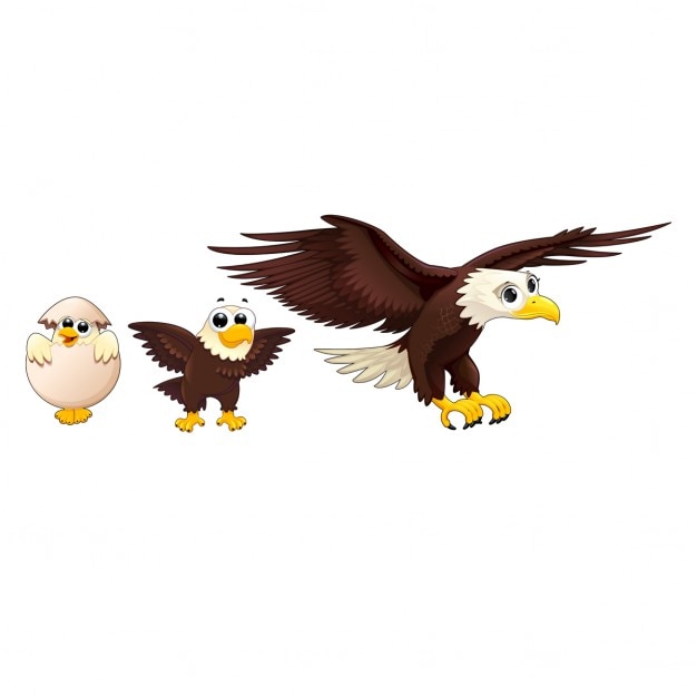 Gratis vector eagle familie