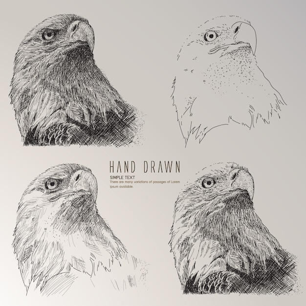 Gratis vector eagle hoofd hand getekende collectie