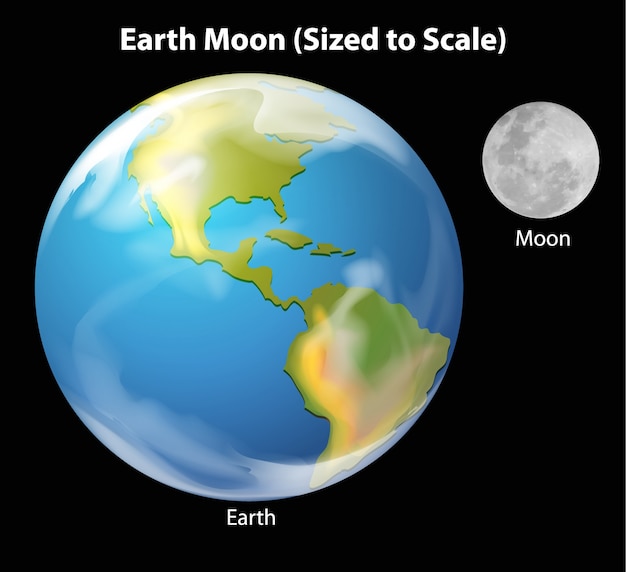 Gratis vector earth moon op schaal