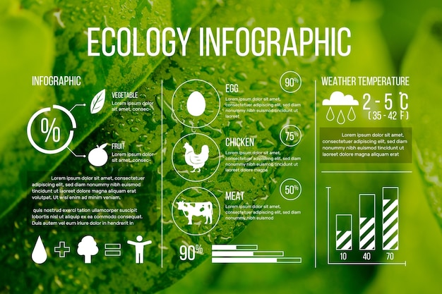 Ecologie infographic met foto